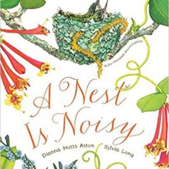 a nest is noisy