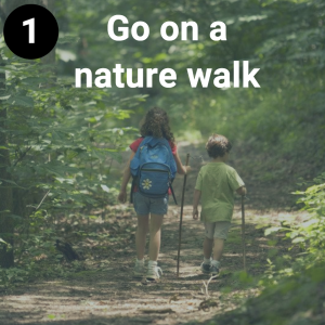 Go on a nature walk